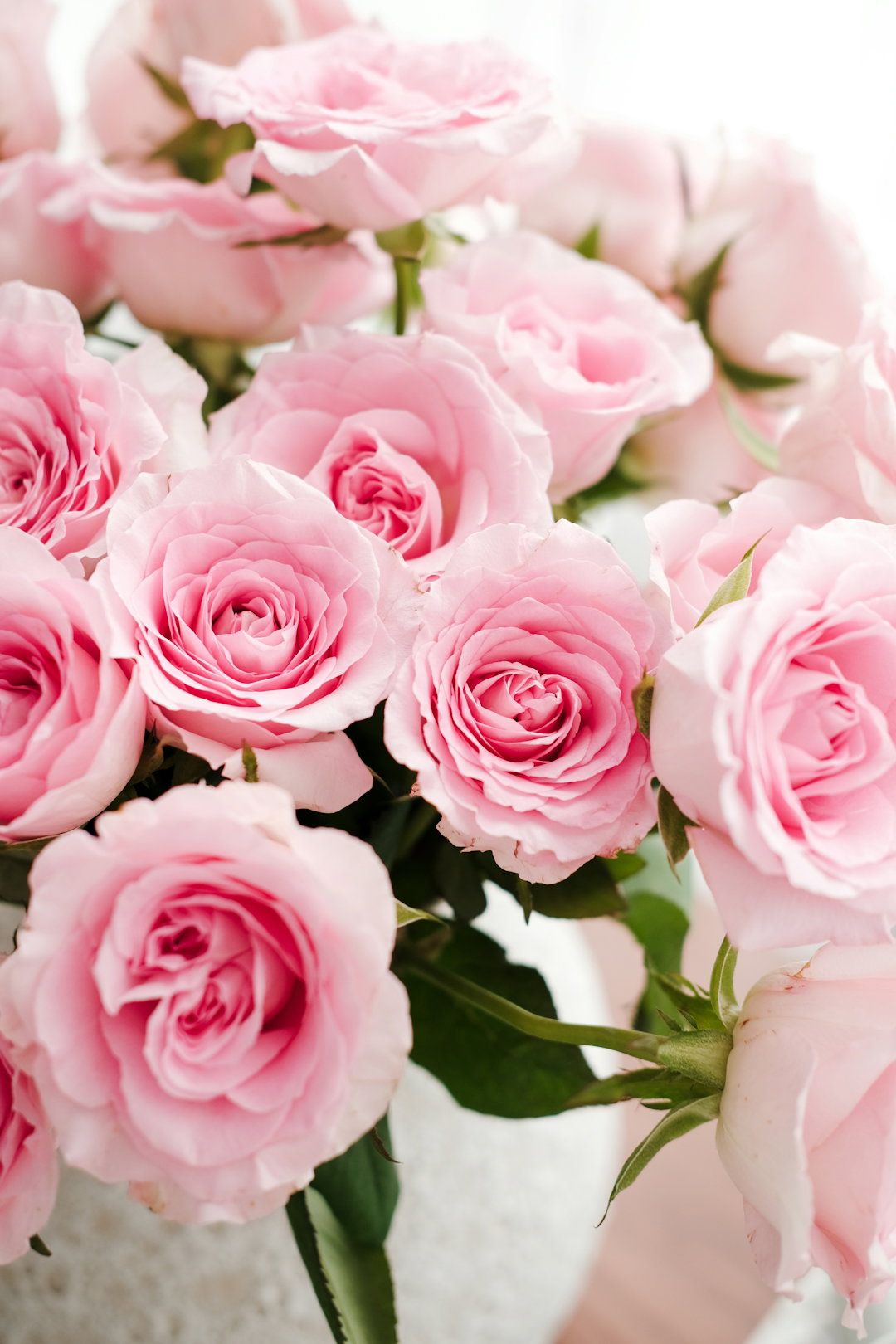 A bouquet of pink roses in a vase
